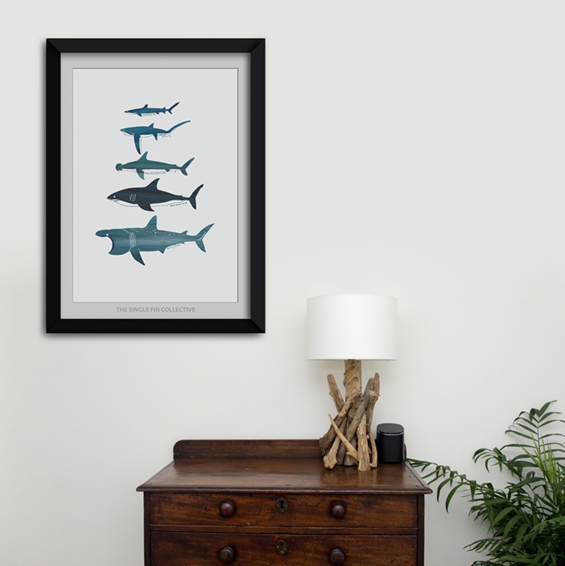 Framed print of shark illustrations by Single Fin Collective