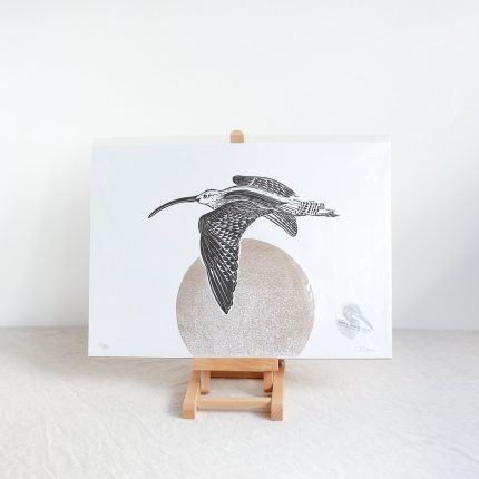 Detailed Curlew illustration print with a grey circle background