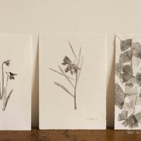 Selection Of Black And White Botanical Mono Prints By Alicia Breakspear