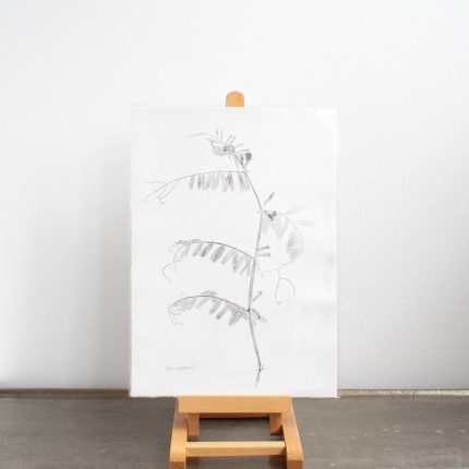 Black and white botanical mono print by Alicia Breakspear