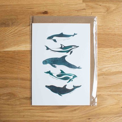 Single Fin Collective Sea Creature Greeting Card - Image 7