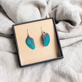 Blue & Yellow Macaw Earrings