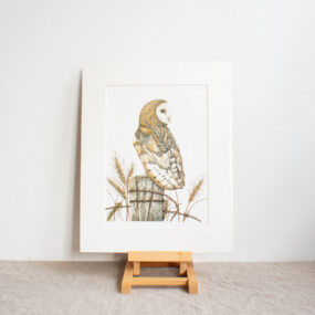 Barn Owl Print