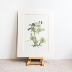 Goldfinch At Creek House Print