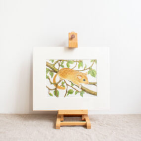Hazel Dormouse Print