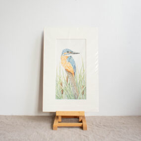 Kingfisher In The Reeds Print