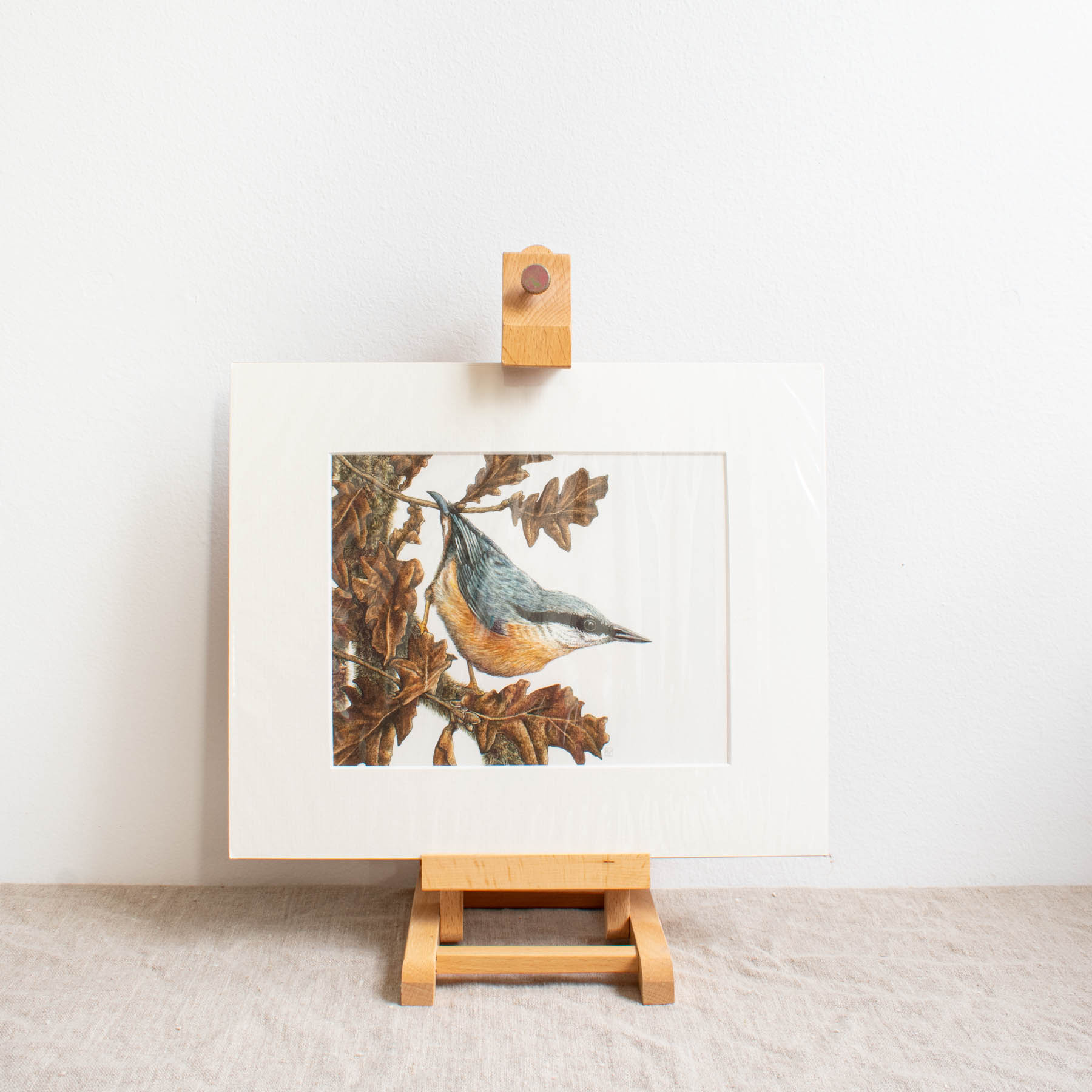 Nuthatch & Oak Print