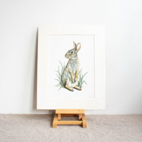 Rabbit Print