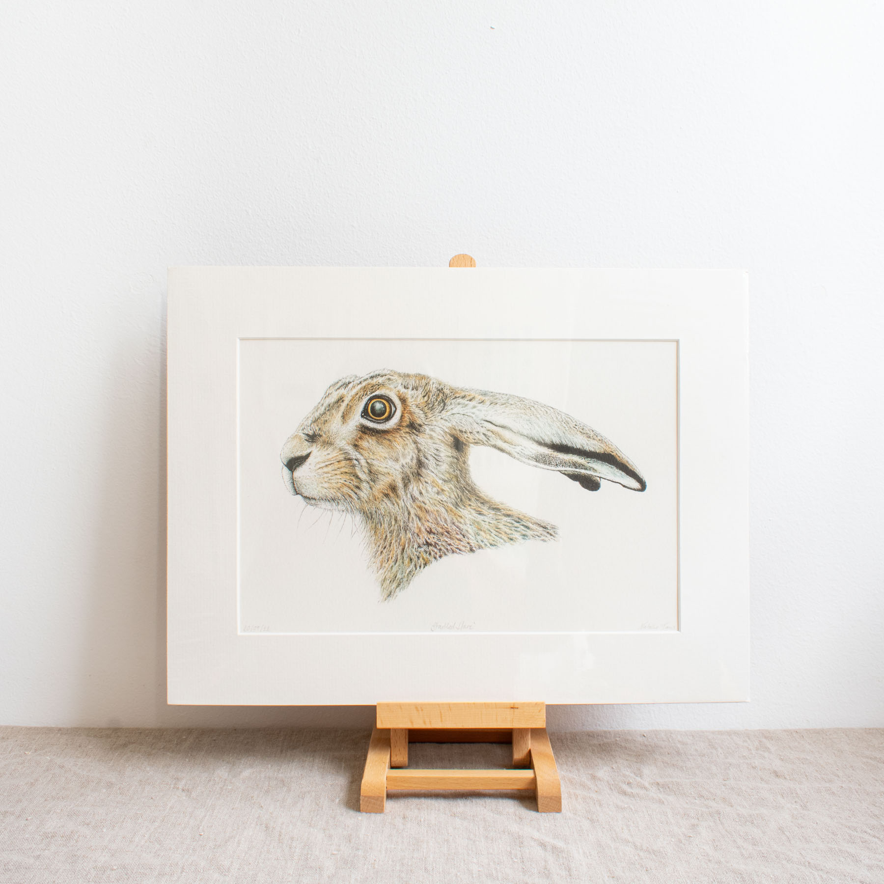 Startled Hare Print