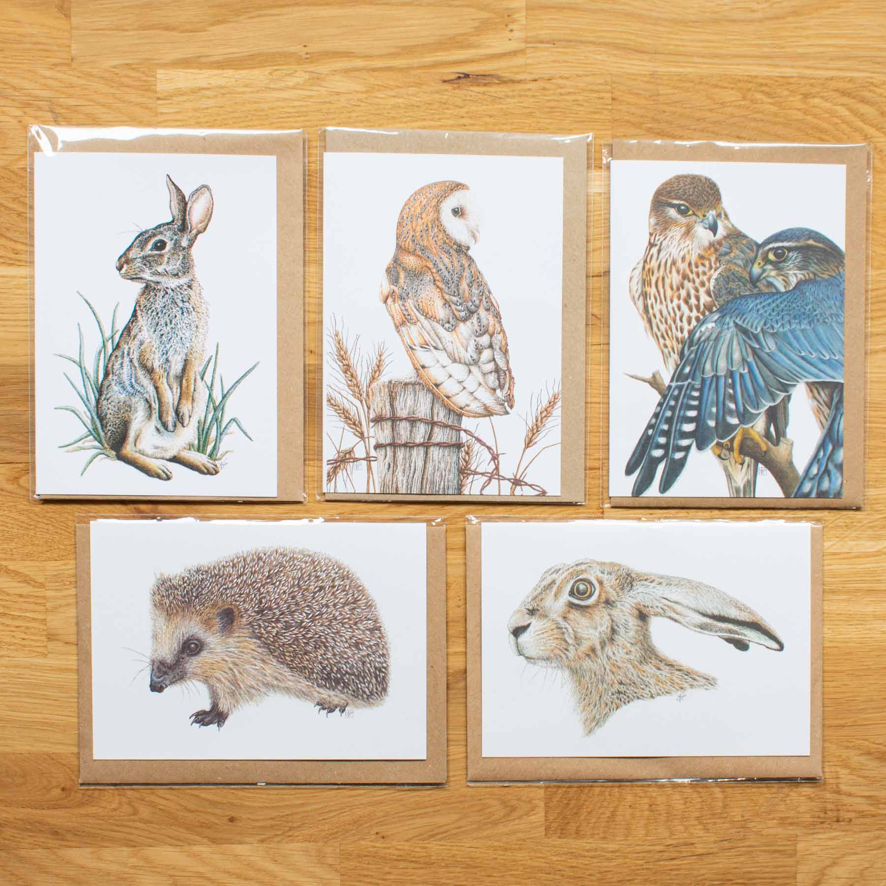 Natalie Toms Wildlife Greeting Card