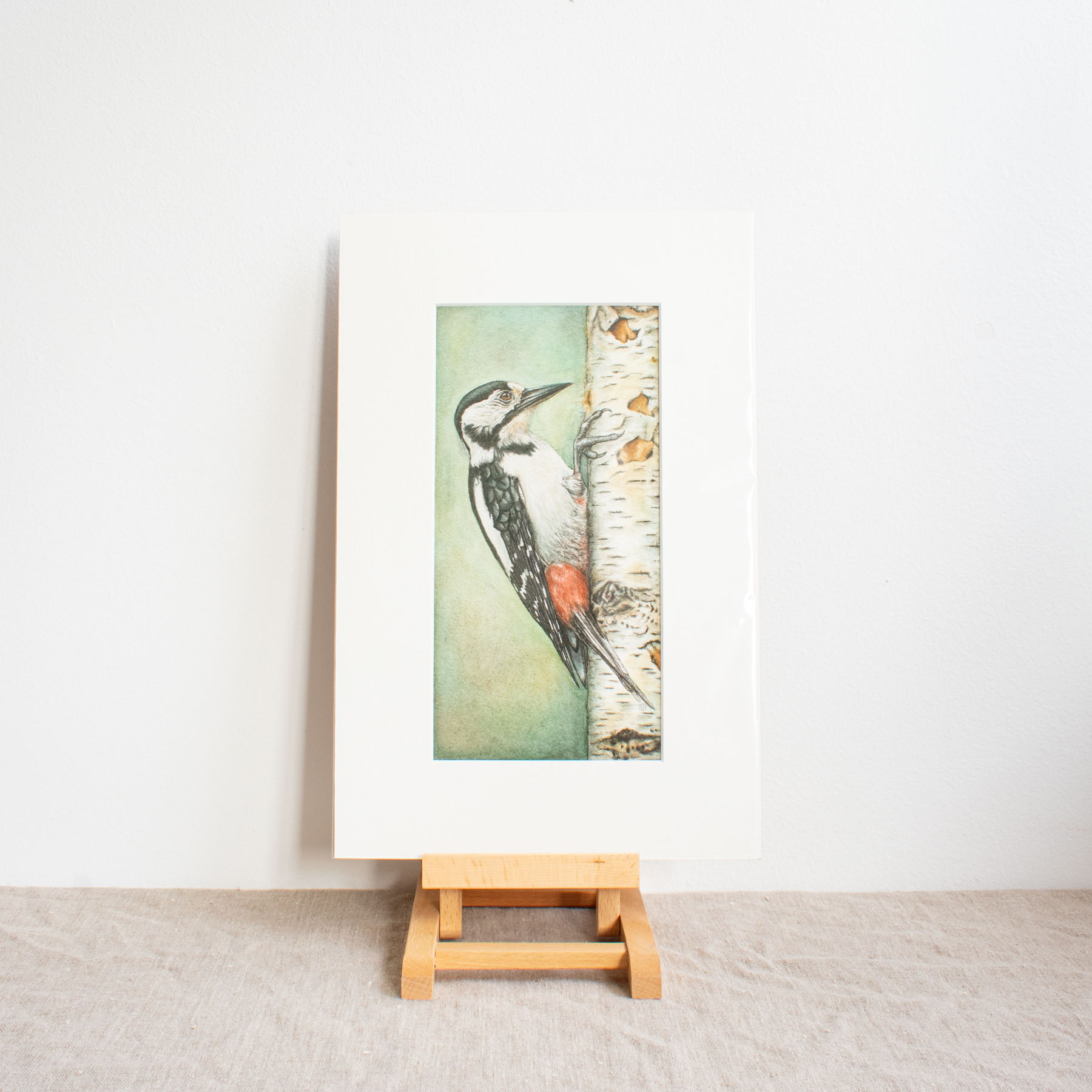Greater Spotted Woodpecker Print