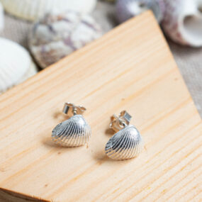 Clam Shell Small Studs